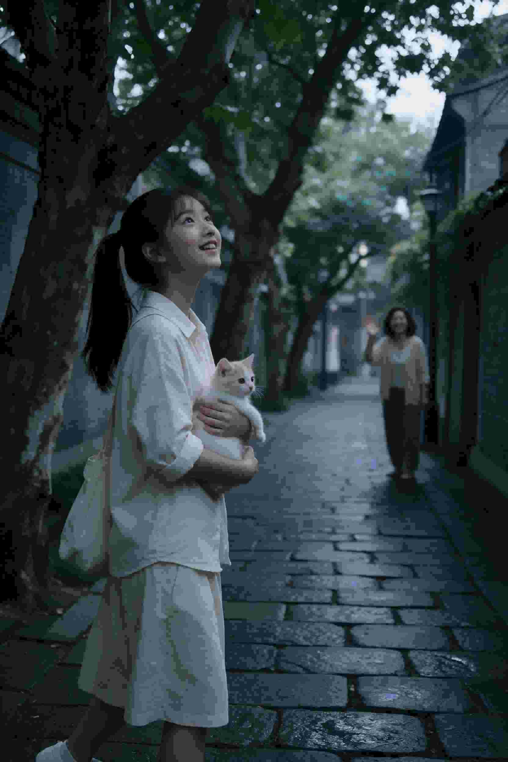 动画番剧