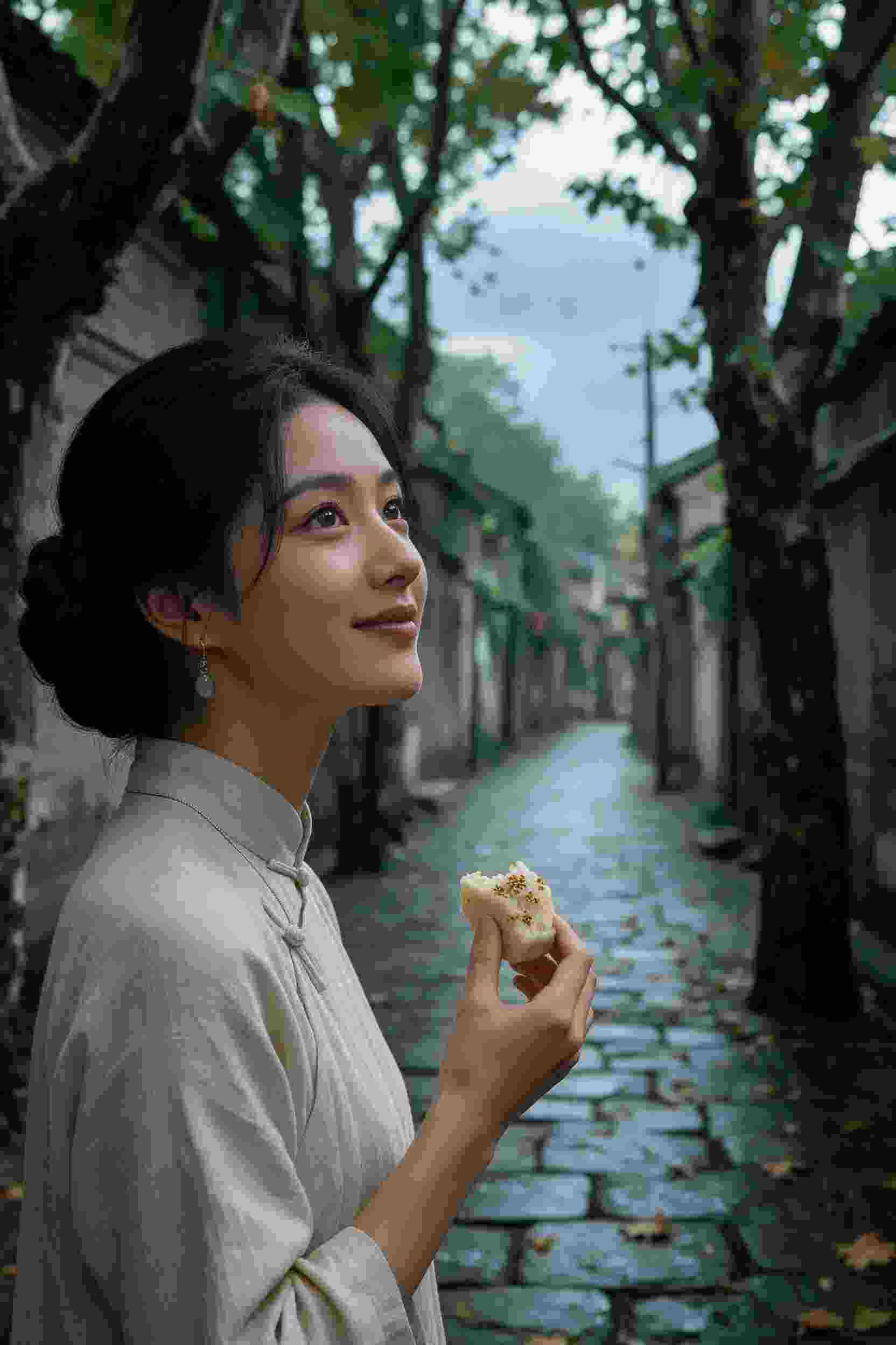 动画番剧